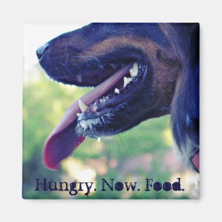 冷蔵庫用空腹磁石 マグネット