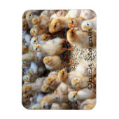 冷蔵庫磁石ひだ磁石 マグネット (縦)