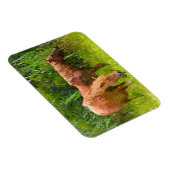 冷蔵庫磁石アサーテハーワイルドウマ マグネット (右側)