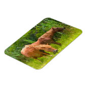 冷蔵庫磁石アサーテハーワイルドウマ マグネット (左側)