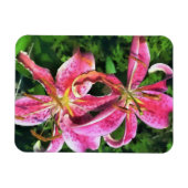 冷蔵庫磁石ピンクライリー マグネット (横)