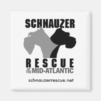 冷蔵庫磁石 マグネット