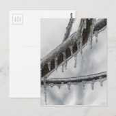 凍った枝 ポストカード (正面/裏面)