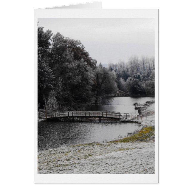 凍った水に橋をかける (正面)