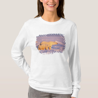 凍った海の上の春の子グマとホッキョクグマの母 Tシャツ