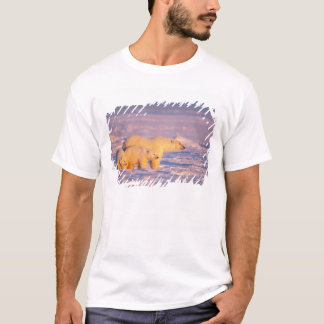 凍った海上のホッキョクグマの母子 Tシャツ