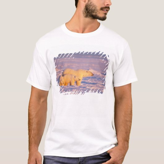 凍った海上のホッキョクグマの母子 Tシャツ (正面)