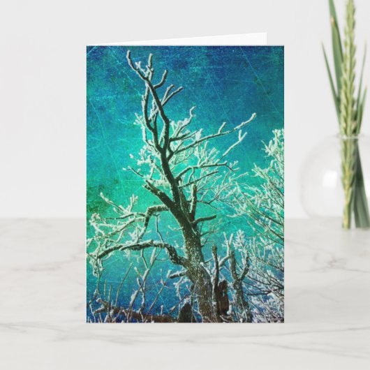 凍っていすべての行事 カード (正面)