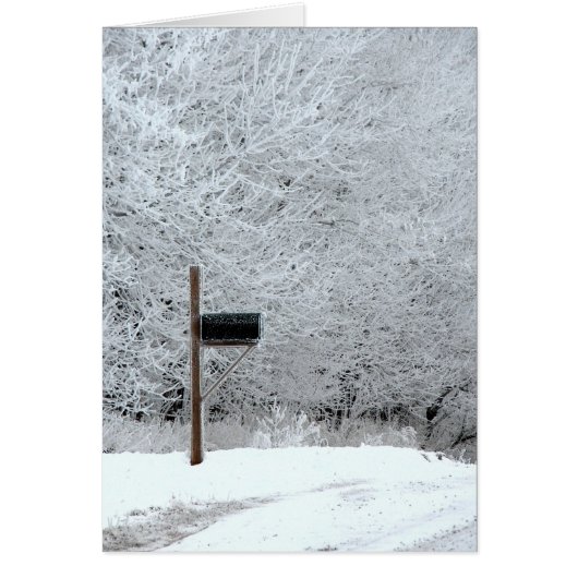 凍っていアイオワの場合 (正面)