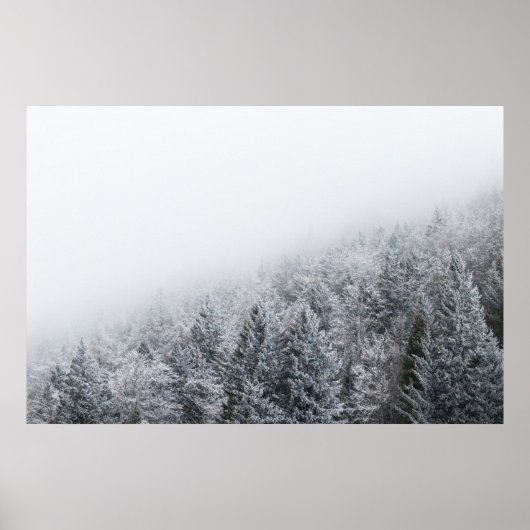 凍ってい林 ポスター (正面)