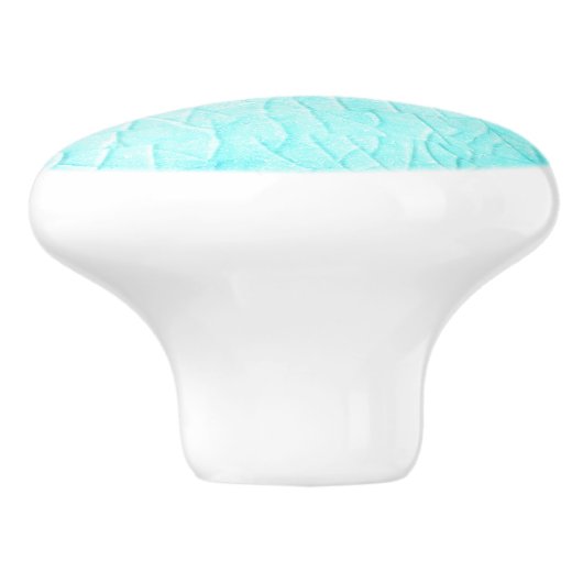 凍ってい池ターコイズ  セラミックノブ (側面)