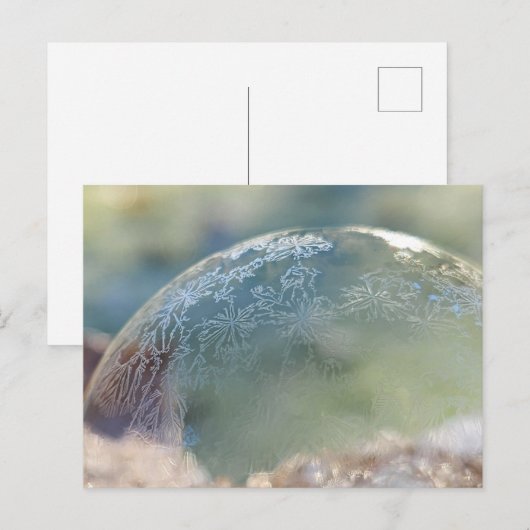 凍ってい泡 ポストカード (正面/裏面)