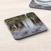 凍ってい洞 コースター (左側)