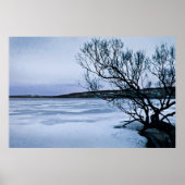 凍ってい湖 ポスター (正面)