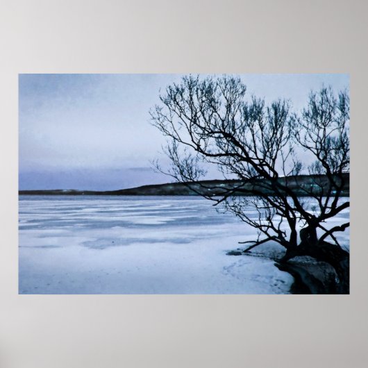 凍ってい湖 ポスター (正面)