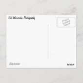 凍ってい秋 ポストカード (裏面)