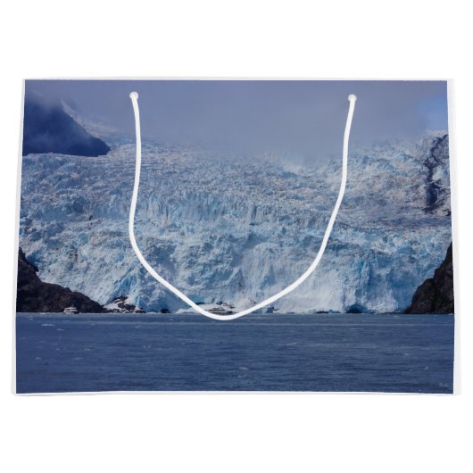 凍ってい美しい ラージペーパーバッグ (正面)