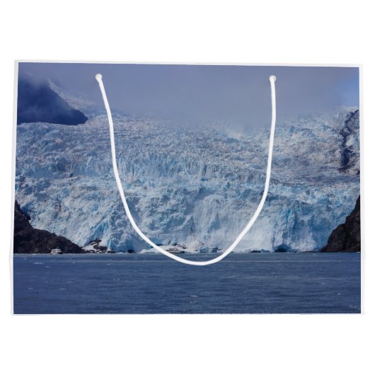 凍ってい美しい ラージペーパーバッグ (裏面)