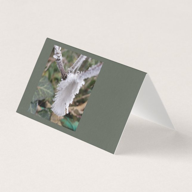 凍ってい羽 (正面)