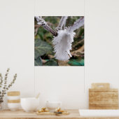 凍ってい羽 ポスター (キッチン)