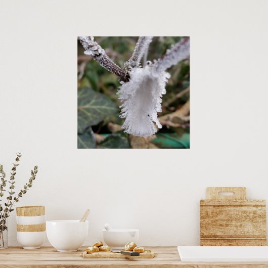 凍ってい羽 ポスター (キッチン)