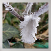 凍ってい羽 ポスター (正面)