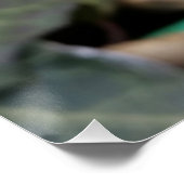 凍ってい羽 ポスター (コーナー)