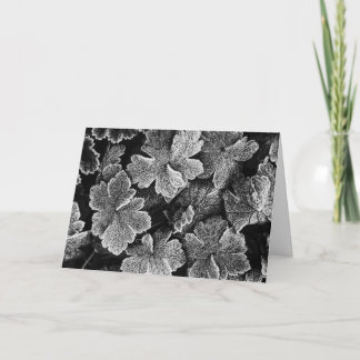 凍ってい葉 シーズンカード