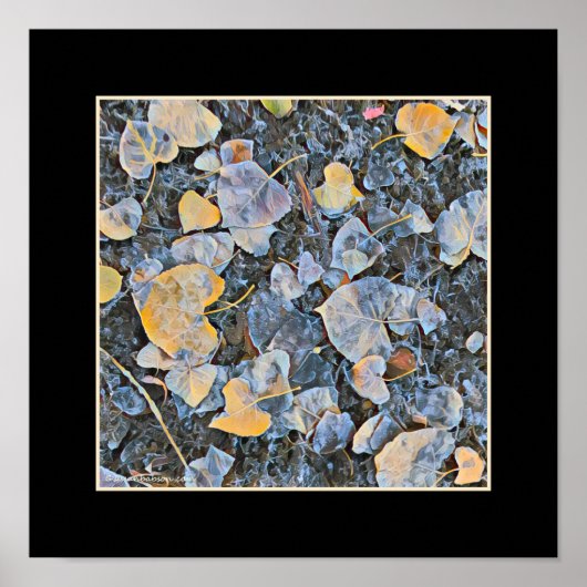 凍ってい葉 ポスター (正面)