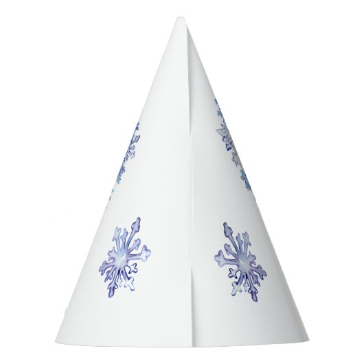 凍ってい誕生日任意の年齢凍っていテーマパーティー帽子 パーティーハット (裏面)