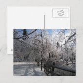 凍ってい ポストカード (正面/裏面)