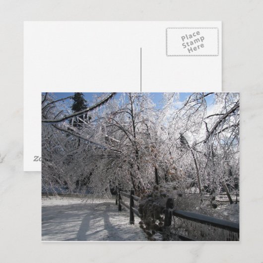 凍ってい ポストカード (正面/裏面)