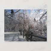 凍ってい ポストカード (正面)