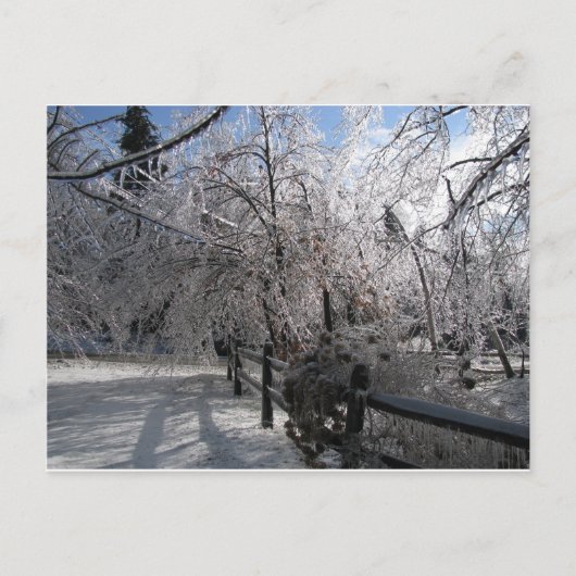 凍ってい ポストカード (正面)