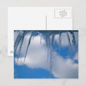 凍ってい ポストカード (正面/裏面)