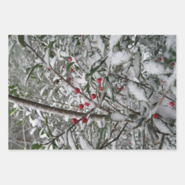 凍ってい ラッピングペーパーシート