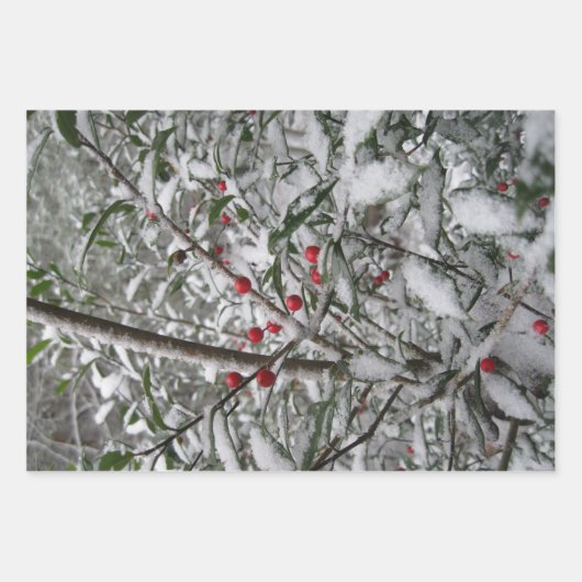 凍ってい ラッピングペーパーシート (正面3)