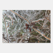 凍ってい ラッピングペーパーシート (正面2)