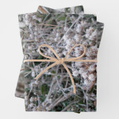 凍ってい ラッピングペーパーシート (インサイチュ)