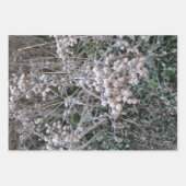 凍ってい ラッピングペーパーシート (正面)