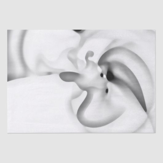 凍ってい:抽象芸術グレー、白、および黒 薄葉紙 (正面)