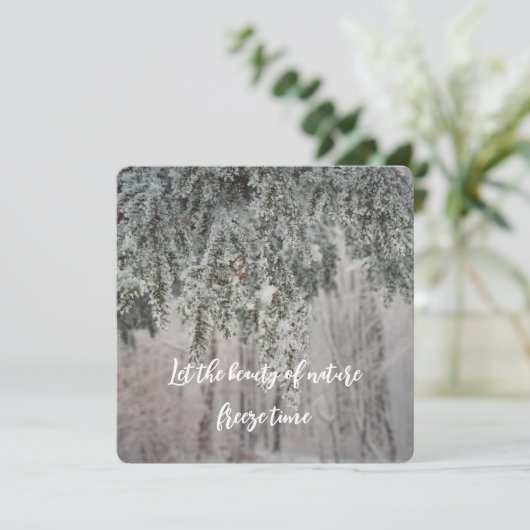 凍てついた枝と雪に覆われた森 シーズンカード (スタンド正面)