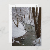 凍てついた森の川 ポストカード (正面/裏面)