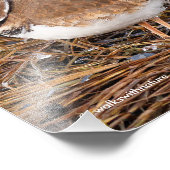 凍てつくような泥の中での殺し屋 フォトプリント            (角)