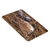 凍てつくような泥の中での殺し屋 マグネット (右側)