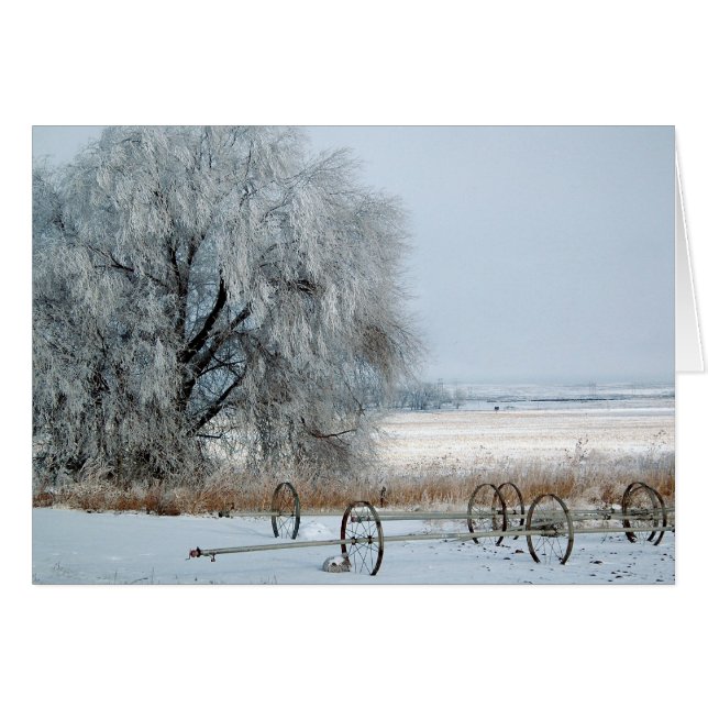 凍結する分野 (正面横)