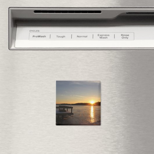 凍結する反射 マグネット (インサイチュ (食洗機))