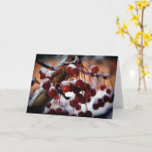 凍結する果実 カード (黄色い花)