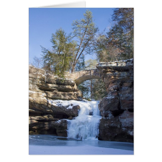 凍結する滝 (正面)