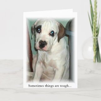 凝灰岩 サンキューカード